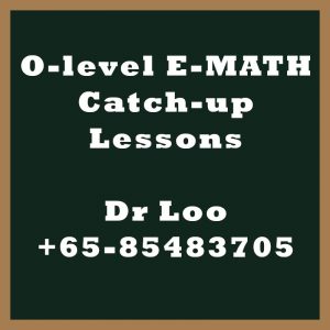 O-level E-Math Year End Catch-up Program 2020